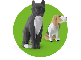 Categoria&SottoCategoriaNEW_23