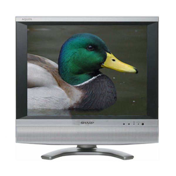 Sharp LC-20S4E 20" Nero Grigio - DVB-T2 - Come nuovo