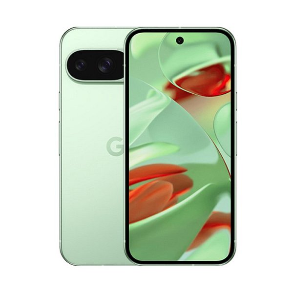 Google Pixel 9 - Verde - 128 GB - Ottimo